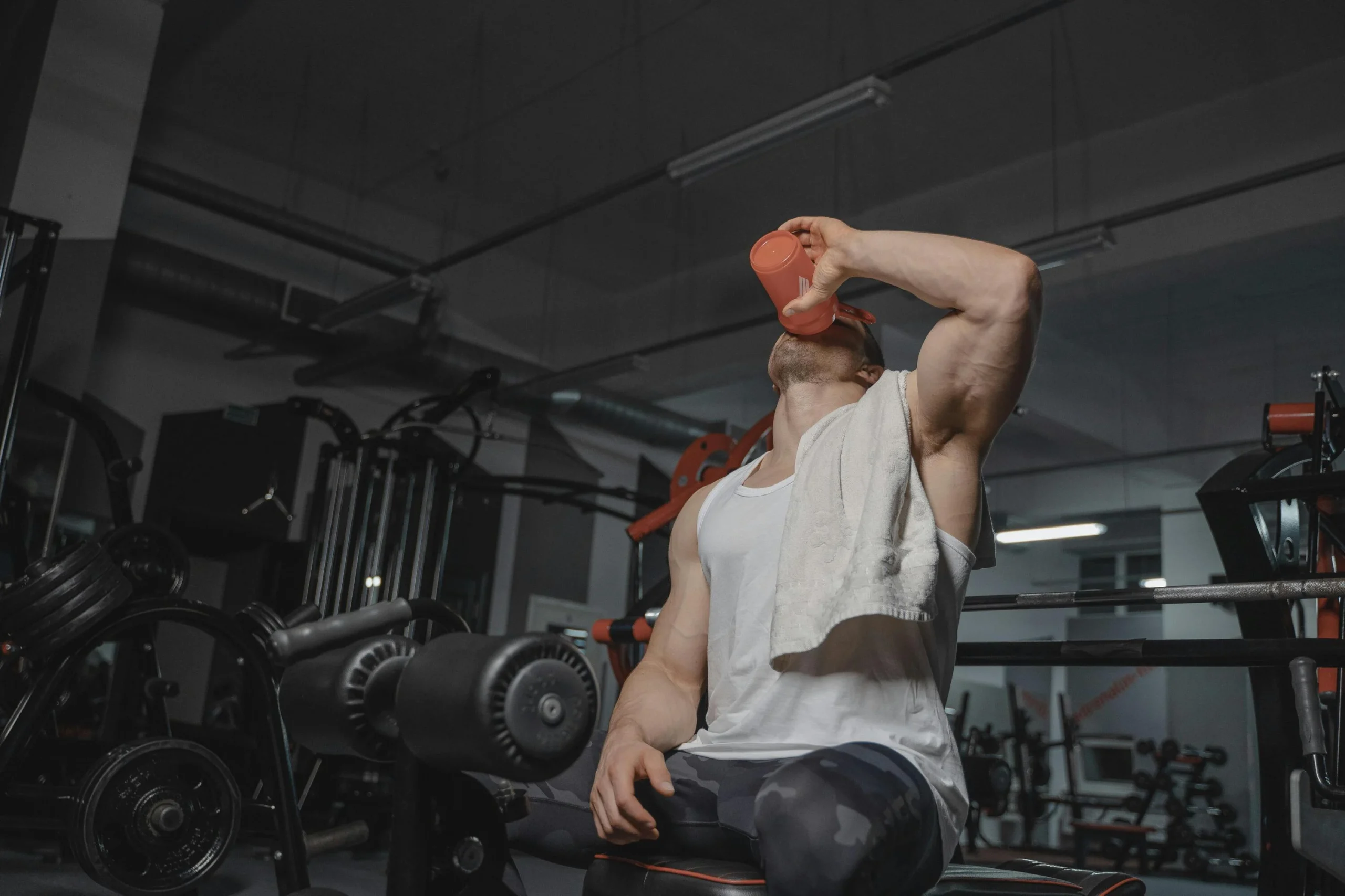 5 suplimente esentiale pentru sportivii incepatori 50