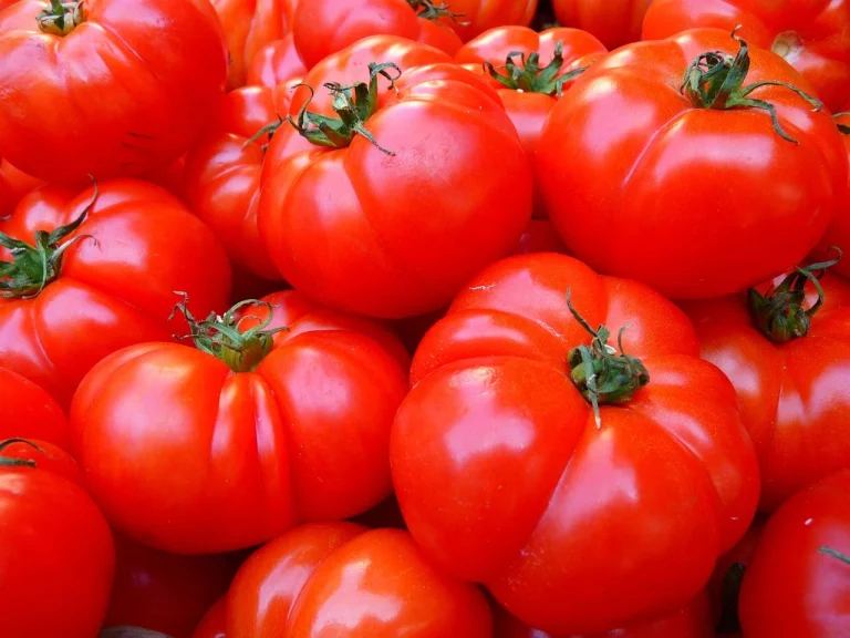 vitamina e doza zilnica recomandata