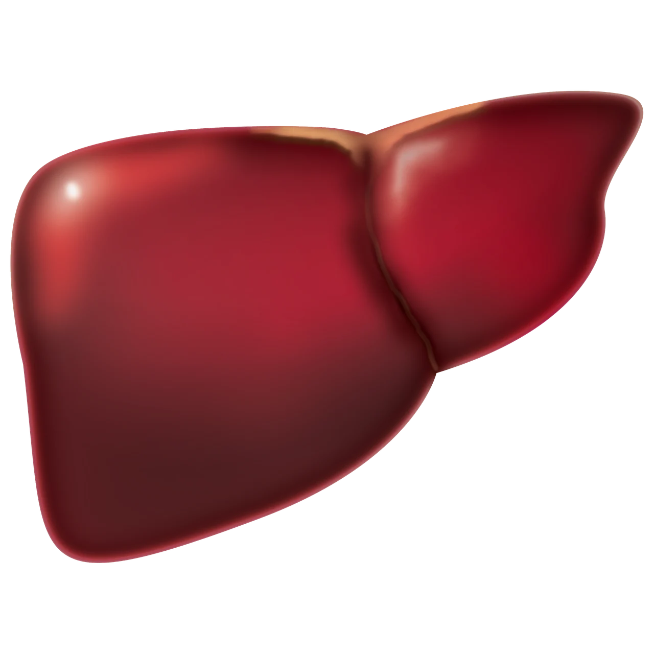 speranta de viata dupa transplant de ficat