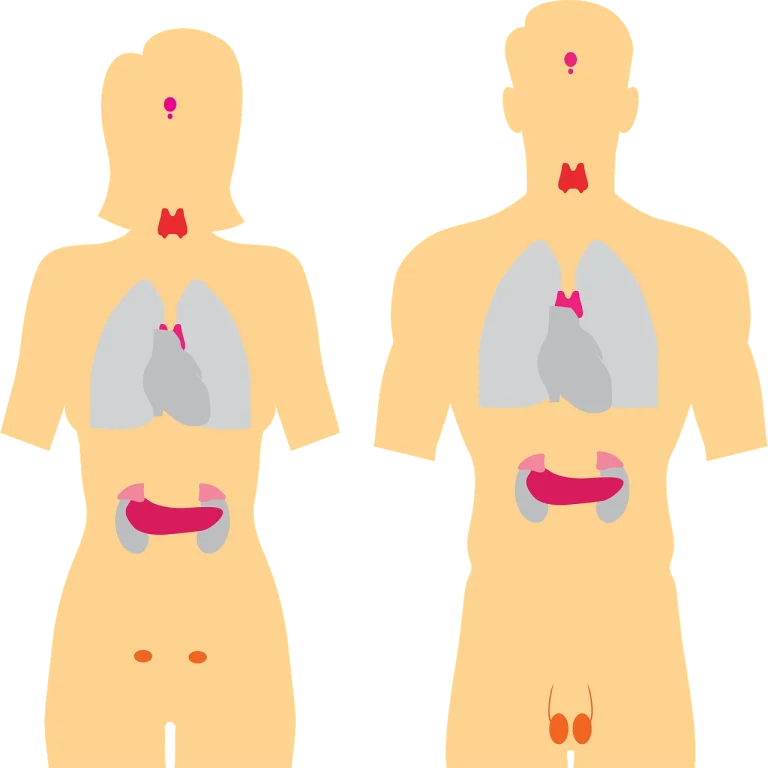 glanda tiroida tratament euthyrox