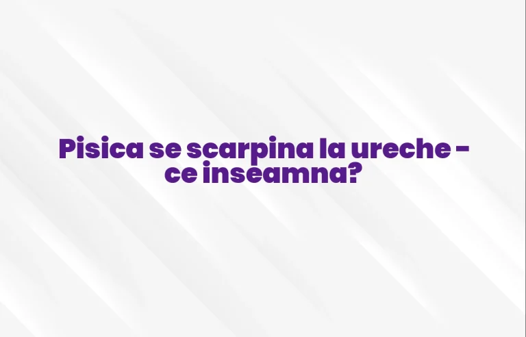 pisica se scarpina la ureche