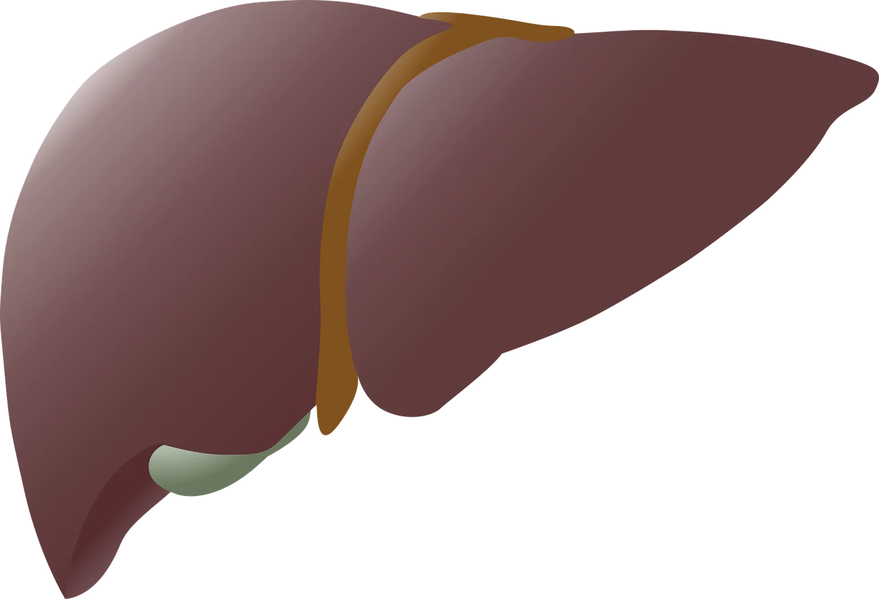 splina dimensiuni normale