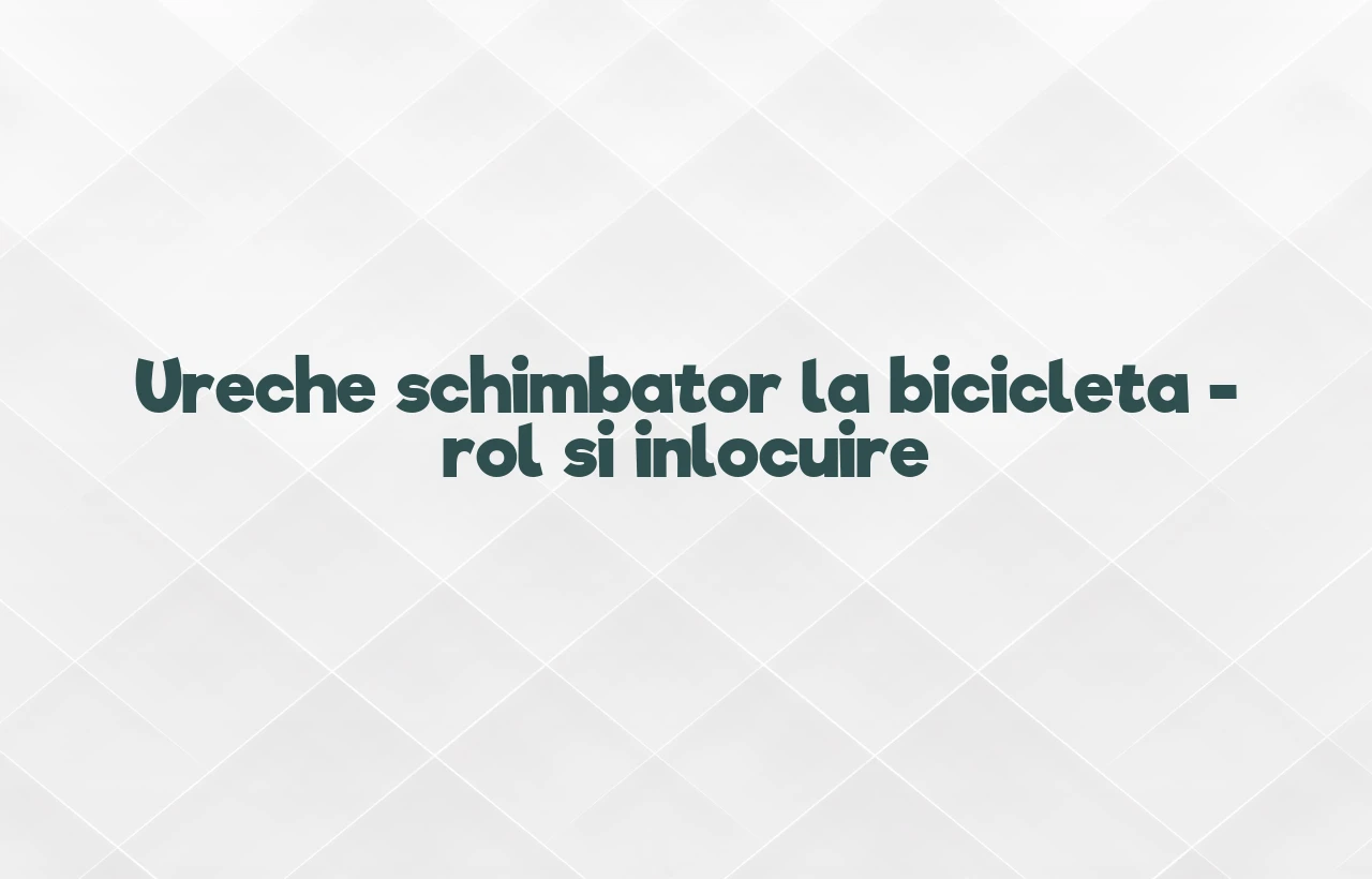 ureche schimbator bicicleta
