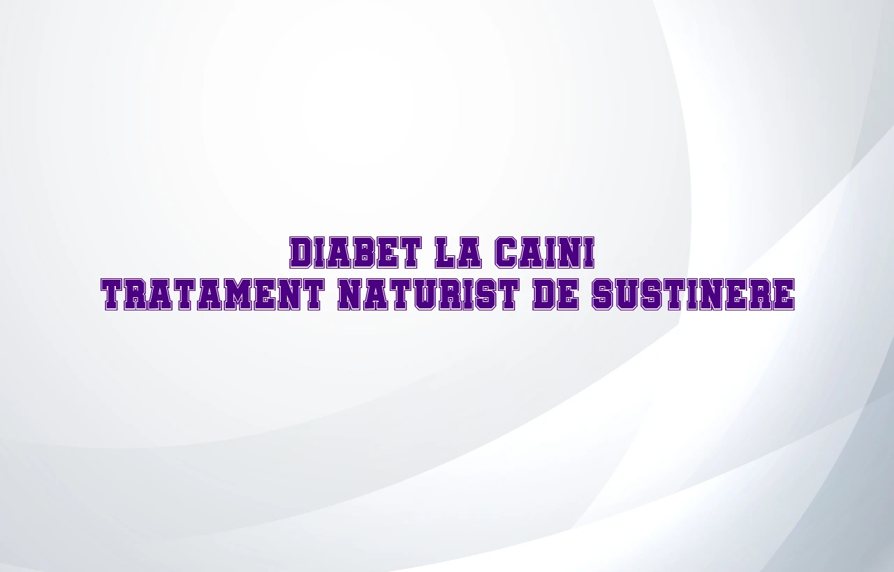 tratament naturist diabet caini