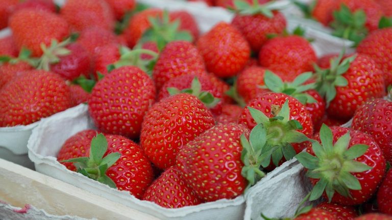 vitamina e beneficii